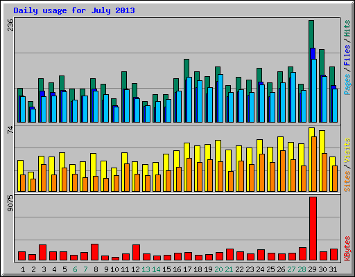 Daily usage for July 2013