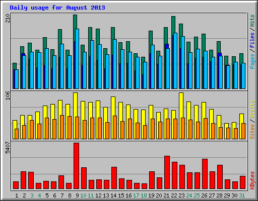 Daily usage for August 2013