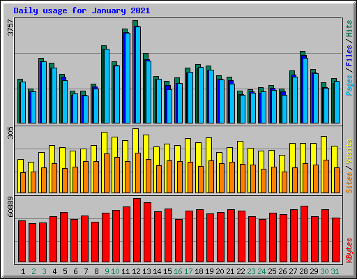 Daily usage for January 2021