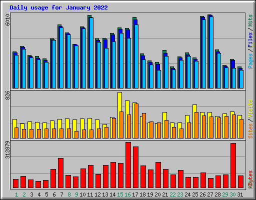Daily usage for January 2022
