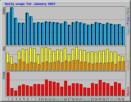 Daily usage for January 2023