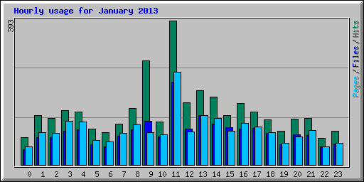 Hourly usage for January 2013