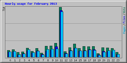 Hourly usage for February 2013