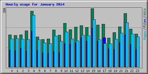 Hourly usage for January 2014