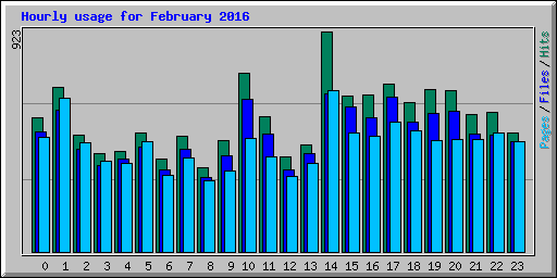 Hourly usage for February 2016