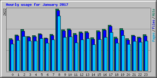 Hourly usage for January 2017