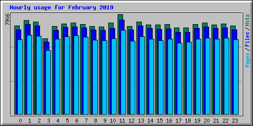 Hourly usage for February 2019