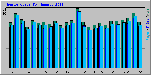 Hourly usage for August 2019