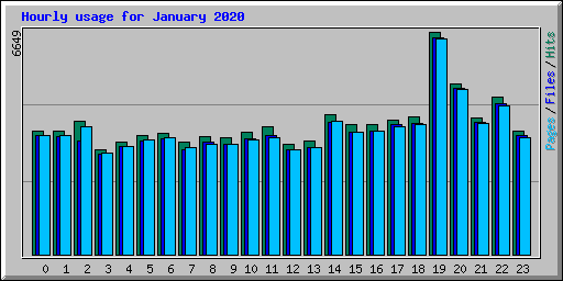 Hourly usage for January 2020