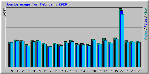 Hourly usage for February 2020