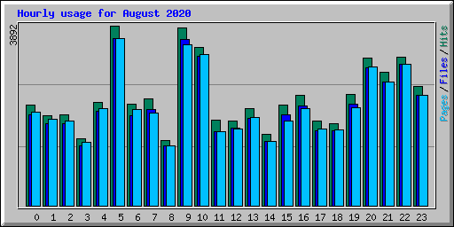 Hourly usage for August 2020