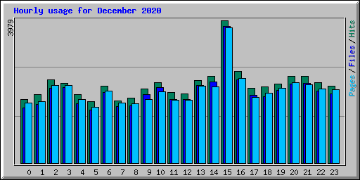 Hourly usage for December 2020
