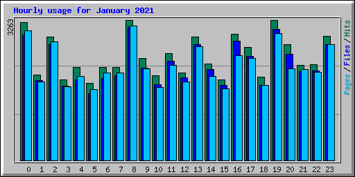 Hourly usage for January 2021