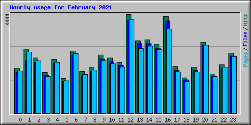 Hourly usage for February 2021