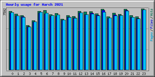Hourly usage for March 2021