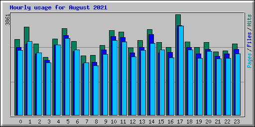 Hourly usage for August 2021