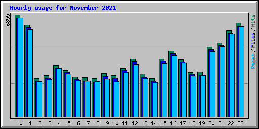 Hourly usage for November 2021