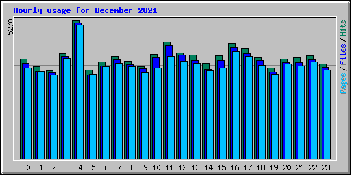 Hourly usage for December 2021