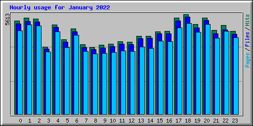 Hourly usage for January 2022