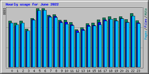 Hourly usage for June 2022