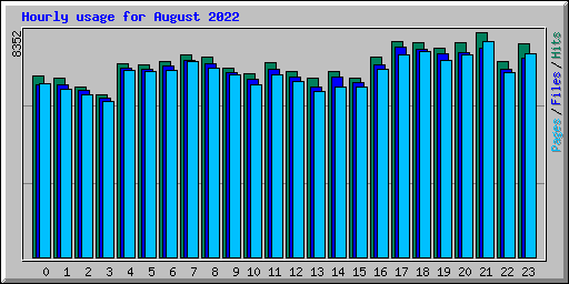 Hourly usage for August 2022