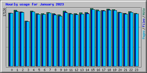 Hourly usage for January 2023